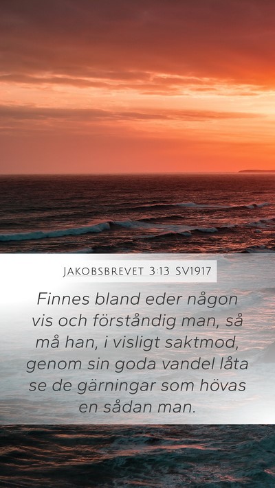Jakobsbrevet 3:13 SV1917 Bible Verse Image