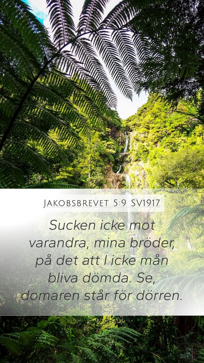 Jakobsbrevet 5:9 SV1917 Bible Verse Image