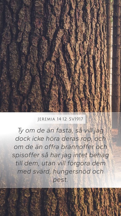 Jeremia 14:12 SV1917 Bible Verse Image