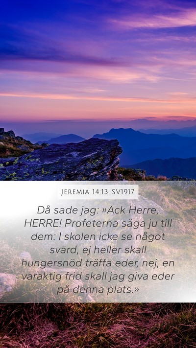 Jeremia 14:13 SV1917 Bible Verse Image