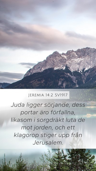 Jeremia 14:2 SV1917 Bible Verse Image