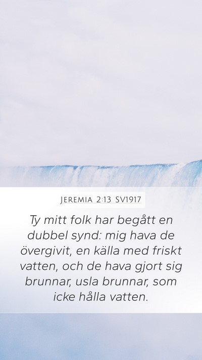 Jeremia 2:13 SV1917 Bible Verse Image