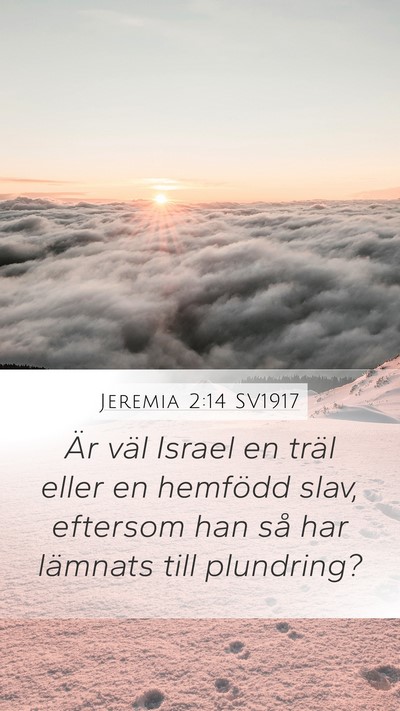 Jeremia 2:14 SV1917 Bible Verse Image