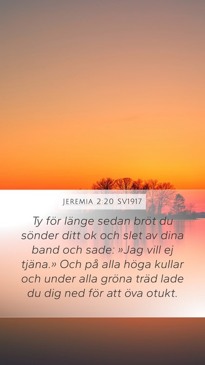 Jeremia 2:20 SV1917 Bible Verse Image