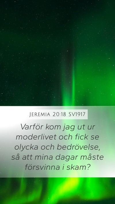 Jeremia 20:18 SV1917 Bible Verse Image
