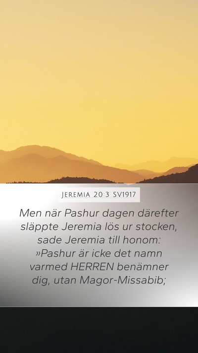Jeremia 20:3 SV1917 Bible Verse Image