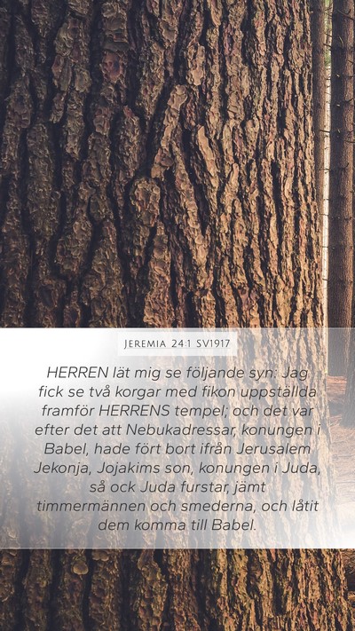 Jeremia 24:1 SV1917 Bible Verse Image