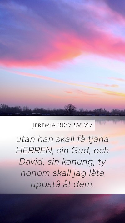 Jeremia 30:9 SV1917 Bible Verse Image