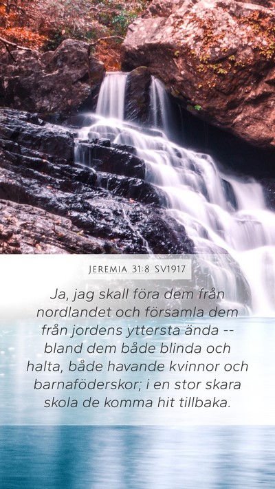 Jeremia 31:8 SV1917 Bible Verse Image