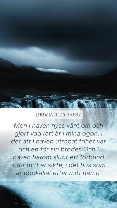 Jeremia 34:15 SV1917 Bible Verse Image