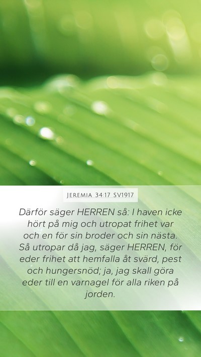 Jeremia 34:17 SV1917 Bible Verse Image