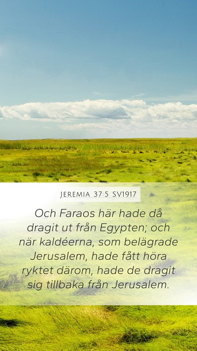 Jeremia 37:5 SV1917 Bible Verse Image