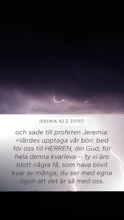 Jeremia 42:2 SV1917 Bible Verse Image