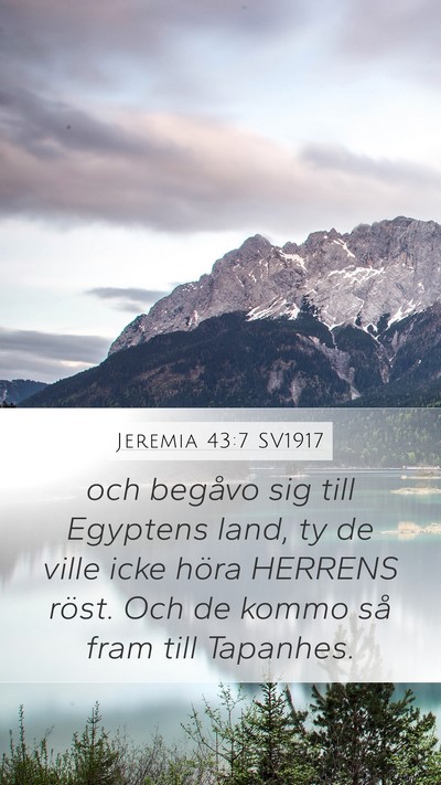 Jeremia 43:7 SV1917 Bible Verse Image