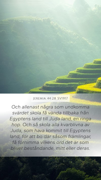 Jeremia 44:28 SV1917 Bible Verse Image