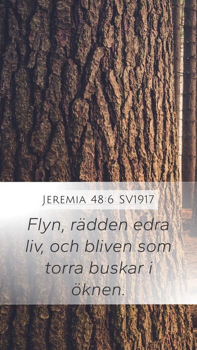 Jeremia 48:6 SV1917 Bible Verse Image