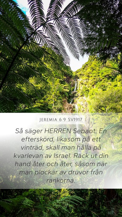 Jeremia 6:9 SV1917 Bible Verse Image