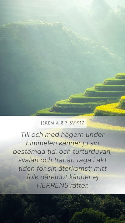 Jeremia 8:7 SV1917 Bible Verse Image