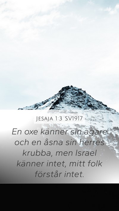 Jesaja 1:3 SV1917 Bible Verse Image