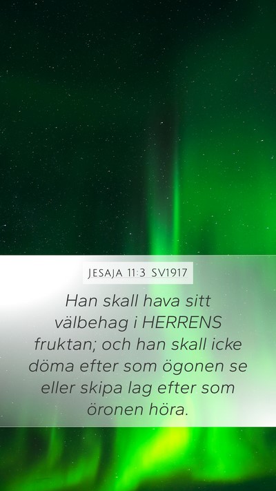 Jesaja 11:3 SV1917 Bible Verse Image
