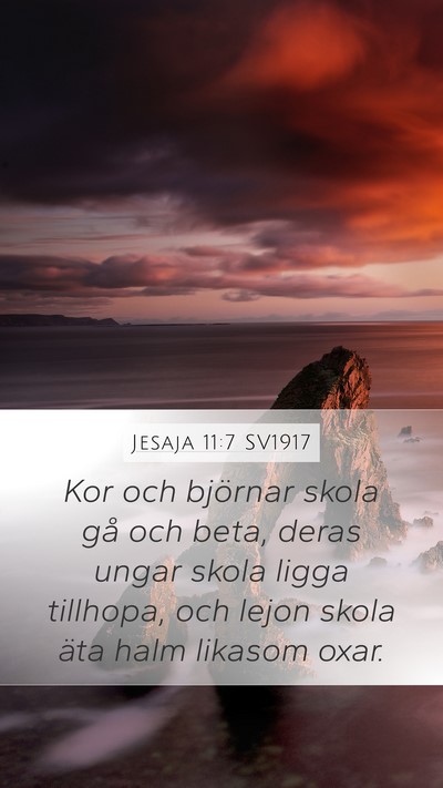 Jesaja 11:7 SV1917 Mobile Phone Wallpaper - Kor och björnar skola gå och beta, deras ungar - Mobile Bible Verse Wallpaper