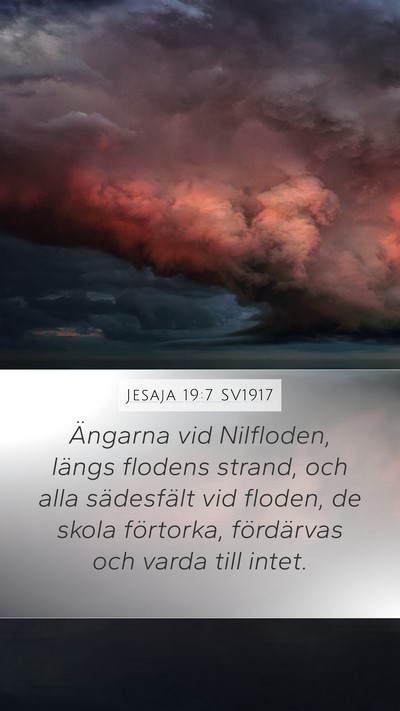 Jesaja 19:7 SV1917 Mobile Phone Wallpaper - Ängarna vid Nilfloden, längs flodens strand, - Mobile Bible Verse Wallpaper