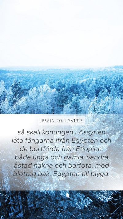 Jesaja 20:4 SV1917 Bible Verse Image