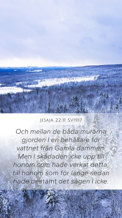 Jesaja 22:11 SV1917 Bible Verse Image