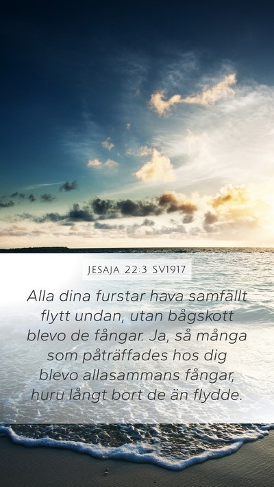 Jesaja 22:3 SV1917 Bible Verse Image