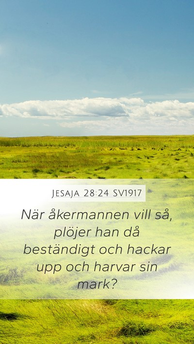 Jesaja 28:24 SV1917 Bible Verse Image