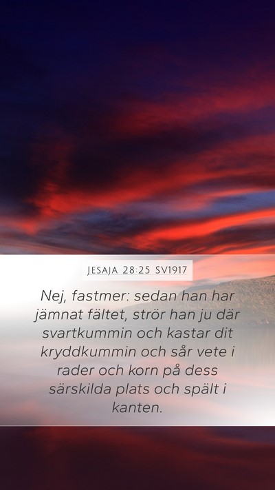 Jesaja 28:25 SV1917 Mobile Phone Wallpaper - Nej, fastmer: sedan han har jämnat fältet, - Mobile Bible Verse Wallpaper