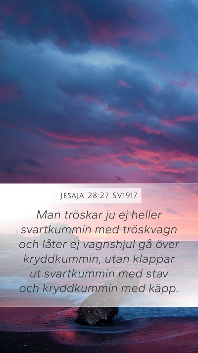 Jesaja 28:27 SV1917 Bible Verse Image