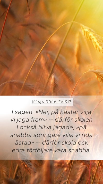 Jesaja 30:16 SV1917 Bible Verse Image