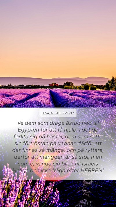 Jesaja 31:1 SV1917 Bible Verse Image