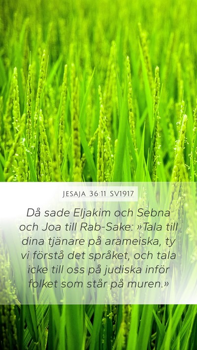 Jesaja 36:11 SV1917 Bible Verse Image