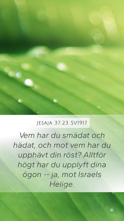 Jesaja 37:23 SV1917 Bible Verse Image