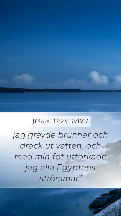 Jesaja 37:25 SV1917 Bible Verse Image
