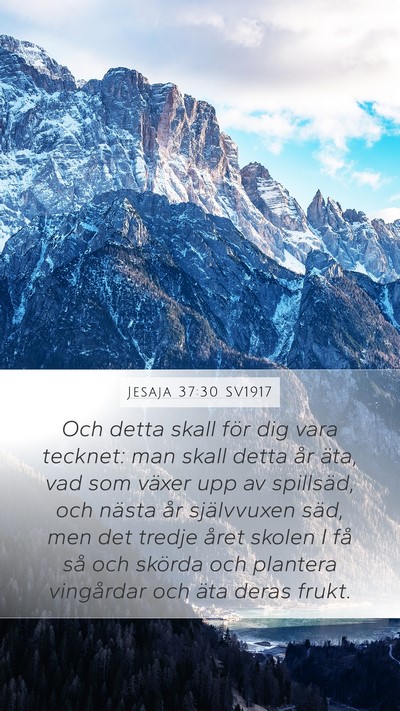 Jesaja 37:30 SV1917 Bible Verse Image
