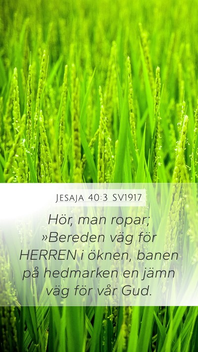 Jesaja 40:3 SV1917 Bible Verse Image