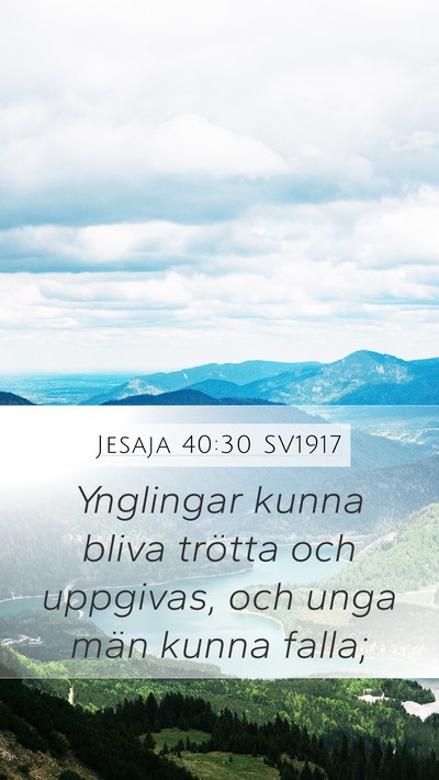 Jesaja 40:30 SV1917 Bible Verse Image