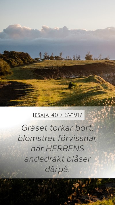 Jesaja 40:7 SV1917 Bible Verse Image