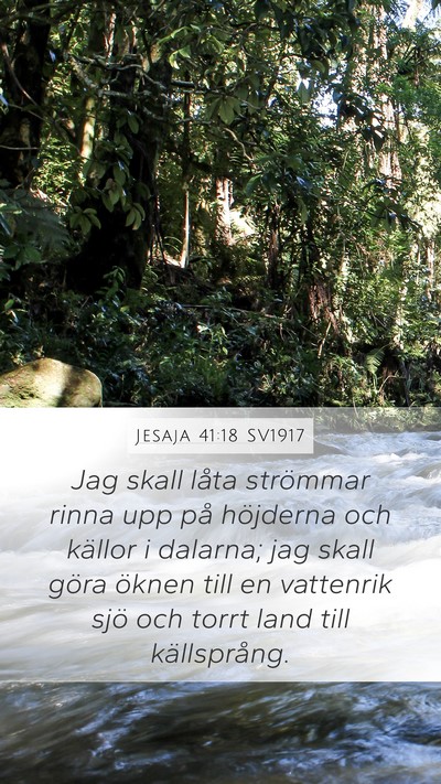 Jesaja 41:18 SV1917 Bible Verse Image