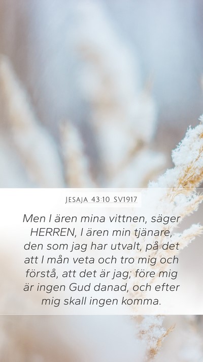 Jesaja 43:10 SV1917 Bible Verse Image