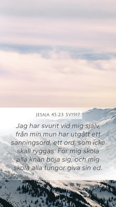 Jesaja 45:23 SV1917 Bible Verse Image