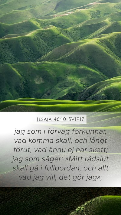 Jesaja 46:10 SV1917 Bible Verse Image