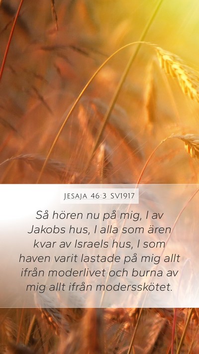 Jesaja 46:3 SV1917 Bible Verse Image