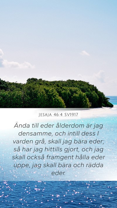 Jesaja 46:4 SV1917 Bible Verse Image