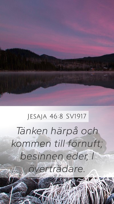Jesaja 46:8 SV1917 Bible Verse Image