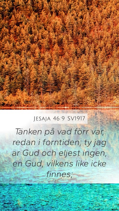 Jesaja 46:9 SV1917 Bible Verse Image