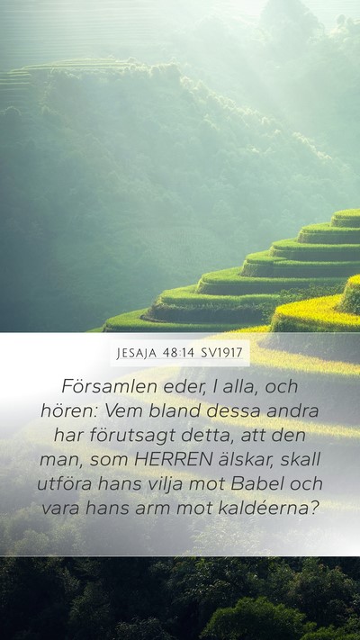 Jesaja 48:14 SV1917 Bible Verse Image